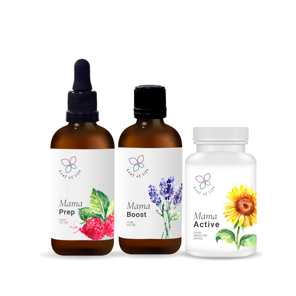 מארז לידה וחיזוק לאחר הלידה